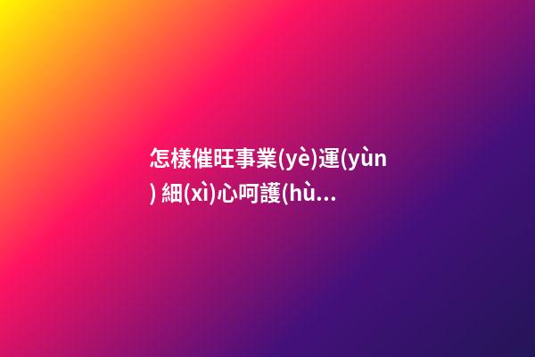 怎樣催旺事業(yè)運(yùn) 細(xì)心呵護(hù)水生植物